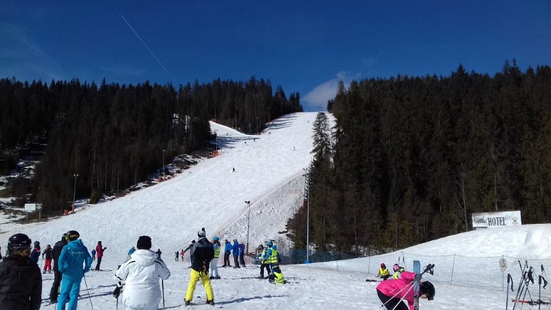 20190304_121455 01.jpg